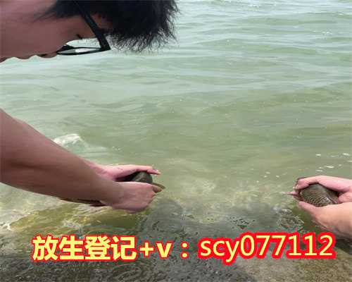 滁州大年三十放生，滁州哪边可以放生鱼，滁州寺庙放生乌龟