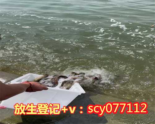 滁州大量放生泥鳅，滁州哪里能放生兔子，滁州哪里放生乌龟最合适